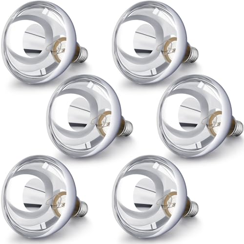 VIHOSE 6 Pack 250 Watt Heat Lamp 120v R40 Heat Lamp Bulbs Glass Incandescent Light Bulbs Incandescent Heating Lightbulbs for Reptiles Chicks Food Puppies Bathroom, Use E26 Base (Silver) - color: Silver