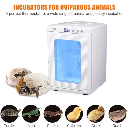 25L Portable Reptile Egg Incubator, Digital Temperature Control, Dual 12V/110V Power, White with Handle & View Window, for Reptiles, Birds & Small Animals