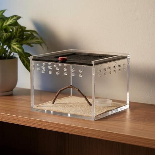 Acrylic Habitat Reptile Terrarium Breeding Box Animal Enclosure Feeding Box Transparent Material with Ventilation Holes Suitable for Hobbyists Home Display, Transparent - style: Transparent