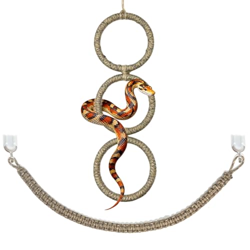 2 Pcs Snake Climbing Accessories, Reptile & Snake Climbing Ring Set with Suction Cups, Enrichment Toy for Ball Python, Corn Snake, Bearded Dragon, Lizard Tank Accessories