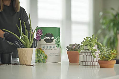 Miracle-Gro Succulent Potting Mix, 4 qt. (2-Pack) | Potting Soil Mix for Indoor Succulents, Aloe Vera and More, Made with Miracle-Gro Plant Food - size: 2 Pack, style: Succulent