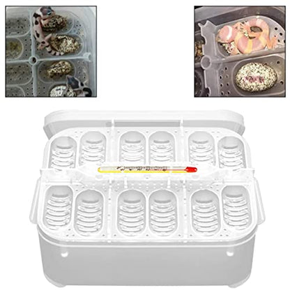 Reptile Incubation Box Reptile Incubator Egg Tray Hatching Box with 12 Grids for Turtle Gecko Lizards Mane Reptile Egg Incubators
