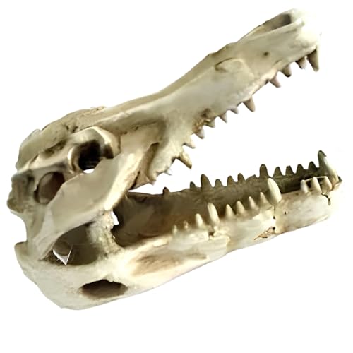 Dinosaur Skull Resin Ornament for Reptile Tanks and Aquariums, Simulated Bone Design, Hiding Cave for Snakes, Lizards, and Spiders, Terrarium Decoration, 4.7 x 2.2 x 3 in