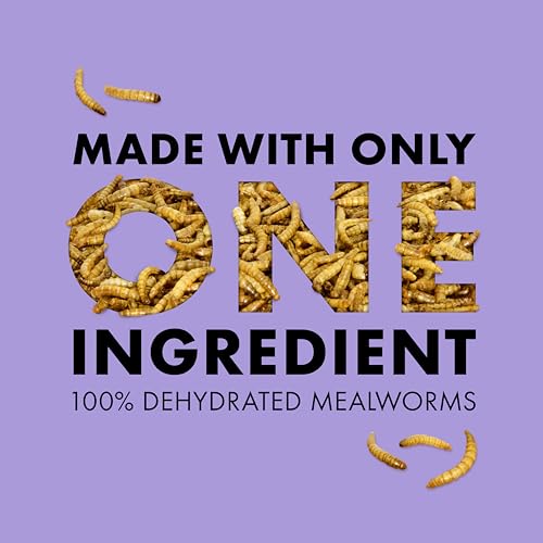 Zilla Reptile Munchies, Mealworms, All-Natural, Dehydrated Mealworms, Ideal for Bearded Dragons, Leopard Geckos, Chameleons and other lizards, Resealable Bag