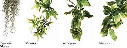Exo Terra Silk Terrarium Plant, Medium, Ruscus - color: Green, size: Medium