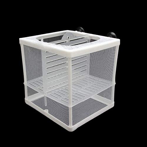 Senzeal Aquarium Fish Breeder Box Fish Fry Hatchery Incubator Net Nylon Isolation Mesh with 3pcs Pipette(Small) - size: Small