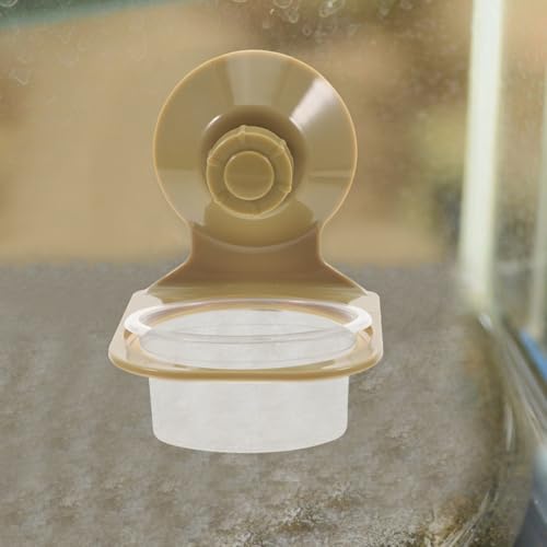 Healifty Reptile Feeding Bowl with Suction Cup Design for Small Pets and Reptiles, Abs Multifunctional Water and Food Dish, Easy to Clean for Terrarium Tank Use