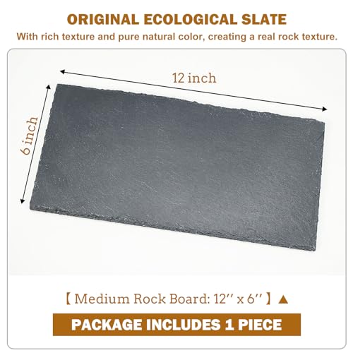Tortoise Habitat basking Rock Feeding Dish Bowl Bearded Dragon/Lizard Original Rock Slab,Easy to Grind the Nails,with Non-Slip mats,Natural Food Bowl,Moisturizing Effect(Medium- Size) - size: Medium- Size