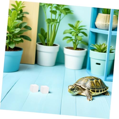 NUOBESTY Tortoise Tank Calcium Blocks 6pcs Mineral Calcium for Reptiles and Amphibians, Natural Mineral Chew Stones to Enhance Strength and Provide Trace Elements