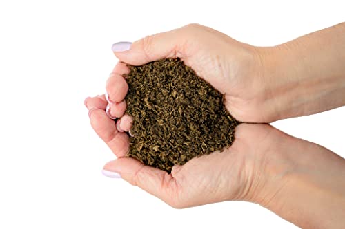 Premium Natural Sphagnum Peat Moss - Gardening Soil Amendment and Carnivorous Plant Soil Media by Gardenera (1 Quart Bag) - color: PEAT MOSS, size: 1 Quart