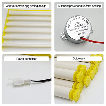 HBtree Automatic Multifunction Incubator Egg Tray Turning Hatcher for Chickens/Ducks/Birds/Poultry（13 Tubes） - color: 13 Tubes