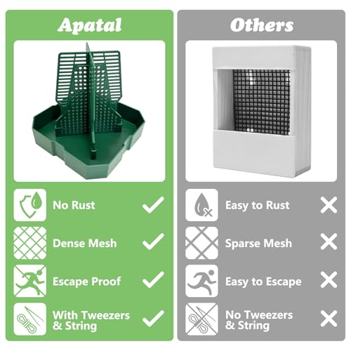 2PCS Reptile Hunting Bowl,4.4"×4.4"×4.7" H Insect Feeding Box with Rope and Tweezers Chameleon Feeder Bowls Hanging Bearded Dragon Bug Bowls Mounted Insect Reptile Feeder Box (Green,Small) - color: Green, size: Small:4.4"L×4.4"W×4.7"H