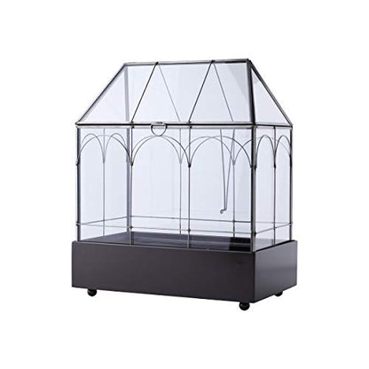 Large 11.5" Tall Plant Terrarium Glass – Glass Greenhouse Terrarium with Lid and Tray,Indoor Tabletop Orchid Succulent Cacti Terrarium