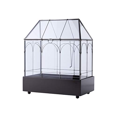 Large 11.5" Tall Plant Terrarium Glass – Glass Greenhouse Terrarium with Lid and Tray,Indoor Tabletop Orchid Succulent Cacti Terrarium