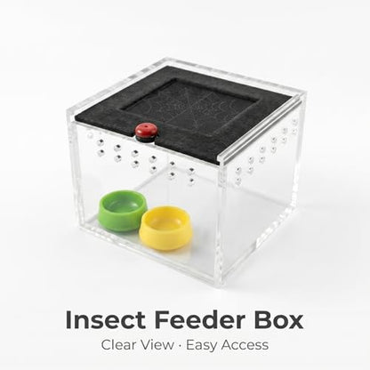 Cricket Keeper - Escape-Proof Insect Habitat Container for Dubia Cockroaches, Tarantulas, Spiders and Breadworms - Ventilated Bug Cage with Feeding Bowl (No Assembly Needed) (Grey) - color: grey