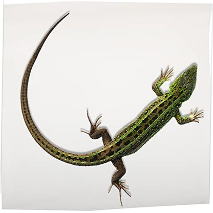 Leopard Gecko Tank Reptile Bedding Terrarium Carpet Snake Terrarium Bedding Bearded Dragon Accessories - color: White