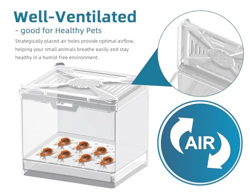 Cricket Keeper – Stackable Insect Habitat for Crickets, Dubia Roaches, Mealworms, Transparent Ventilated Cage, Easy Clean Critter Keeper for Reptiles, Lizards, Snakes, Live Feeder Insect Container