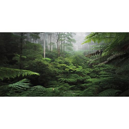 AWERT Foggy Forest Terrarium Background Green Tree Reptile Habitat Background Tropical Rainforest Aquarium Background 72x18 inches Durable Polyester Background - size: 72x18in/180x45cm