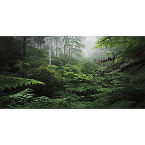 AWERT Foggy Forest Terrarium Background Green Tree Reptile Habitat Background Tropical Rainforest Aquarium Background 72x24 inches Polyester Background - size: 72x24in/180x60cm