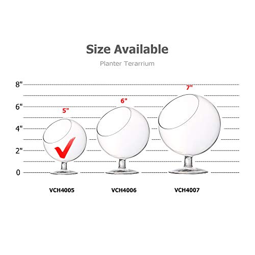 WGV Planter Terrarium with Stand, Ball Diameter 4" Height 5", Clear Glass Floral Container Vase, DIY Succulents Outdoor Garden Home Office Decor Slant Cut Orb, 1 Piece - size: 4"D