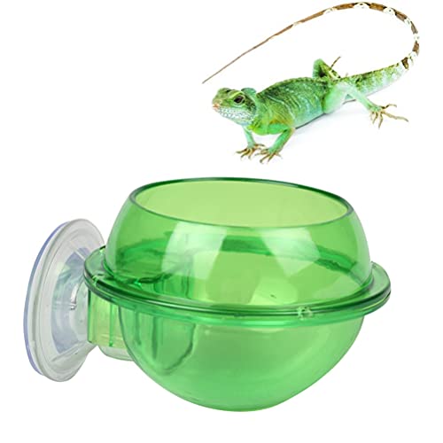 POPETPOP Pet Feeding Bowl Cup Drinking Food Feeder Container Lizard Turtle Reptile Chameleon Gecko Bearded Dragon