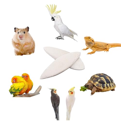 6 Pcs Natural Cuttlebone for Birds Parakeets Pure Cuttlebone Calcium Stone for Parakeets Canaries Cockatiels Tortoise Turtles Cockatiel 11-11.5cm /4.3-4.5”
