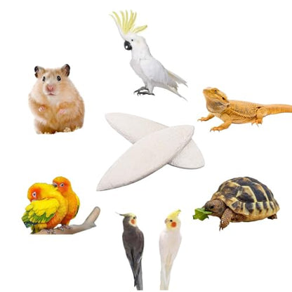 6 Pcs Natural Cuttlebone for Birds Parakeets Pure Cuttlebone Calcium Stone for Parakeets Canaries Cockatiels Tortoise Turtles Cockatiel 11-11.5cm /4.3-4.5”