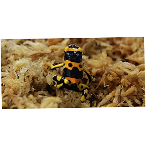 Sphagnum Moss Dried Spagnum Dry Moss for Reptiles Bedding and Terrarium Pet Supplies 150gSphagnum Dried Dry for Reptiles Reptile Spagnum for Plants