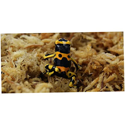 Sphagnum Moss Dried Spagnum Dry Moss for Reptiles Bedding and Terrarium Pet Supplies 150gSphagnum Dried Dry for Reptiles Reptile Spagnum for Plants