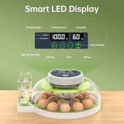 Egg Incubator with Automatic Egg Turning and Humidity Control, 18 Eggs Incubators for Hatching Eggs Chicken Quail Ducks Goose Parrot for Home Lab Farm Classroom - size: 18 Egg