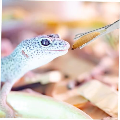 POPETPOP Stainless Steel Reptile Feeding Tongs Durable Long Handle Tweezers for Lizards Snakes Aquarium Use Grip Feeding Tool for Terrariums