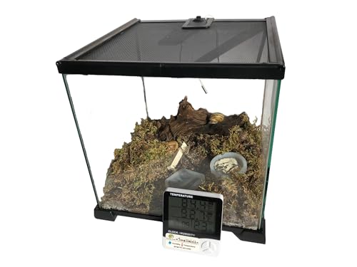 Terrarium Pro Kit – The Ultimate Snail Care Starter Pack for Giant African Land Snails, Helix Aspersa, Helix Pomatia, Grove Snails, etc