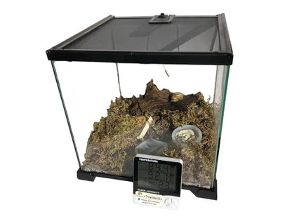 Terrarium Pro Kit – The Ultimate Snail Care Starter Pack for Giant African Land Snails, Helix Aspersa, Helix Pomatia, Grove Snails, etc