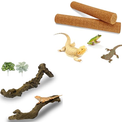 Reptile Climbing Branch with Cork Branch for Reptiles Climbing Branches 2 Pack Natural Tree Frog Cork Wood Stick Crested Geckos Habitat Decor