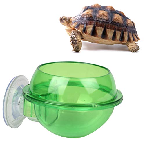 POPETPOP Pet Feeding Bowl Cup Drinking Food Feeder Container Lizard Turtle Reptile Chameleon Gecko Bearded Dragon