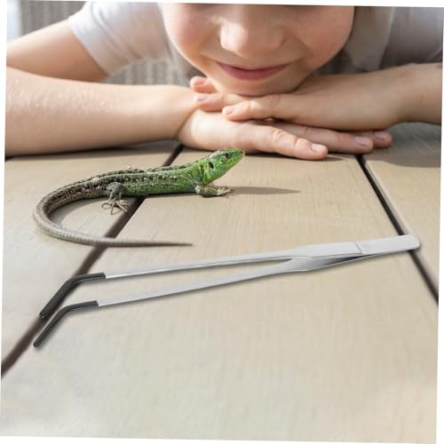 2pcs Stainless Steel Gecko Feeding Tongs with Rubber Tips Long Curved Aquarium Tweezers for Reptiles Lightweight Terrarium Supplies for Snakes and Lizards