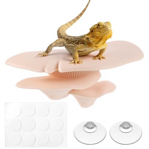 Mushroom Decor Climbing Hold Kit Realistic Terrarium Plants Concealed Jumping Spider Habitat Enclosure Decorate Accessories for Leopard Geckos Crested Geckos Tree Frogs Small Lizards - color: Skin Color