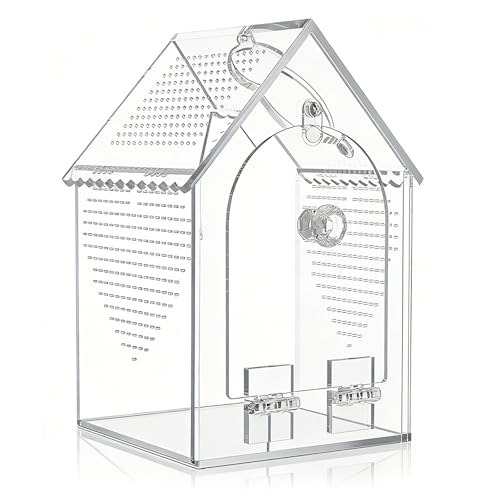 Clear Acrylic Reptiles Habitat Box with Ventilation Holes 12x12x20cm Reptiles Terrarium for Pets and Educational Use Comprehensive Fly Container