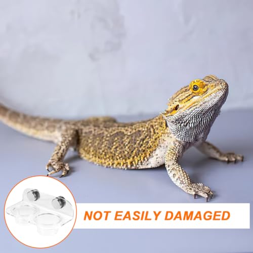 POPETPOP Gecko Feeding Ledge: Reptile Food Bowl, Lizard Water Bowl, Magnetic, Portable, Modern Style, Transparent, Plastic, 12.00X6.50X5.50CM