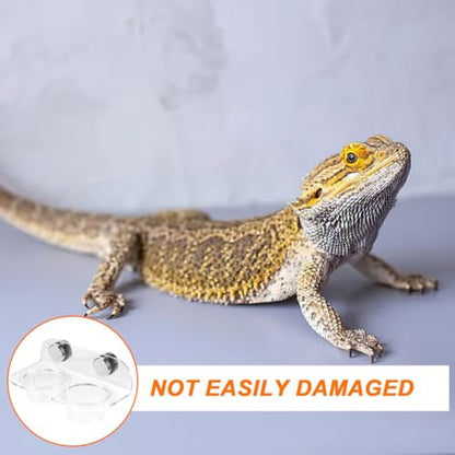 POPETPOP Gecko Feeding Ledge: Reptile Food Bowl, Lizard Water Bowl, Magnetic, Portable, Modern Style, Transparent, Plastic, 12.00X6.50X5.50CM