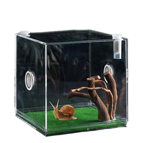 Reptile Growth Terrarium - Acrylic Jumping Spider Clear Container, Clearer View Small Pet Enclosure, Practical Convenient Spacious Habitat, Durable Housing Design Versatile Use | for Snails Lizards Be - color: Aqua