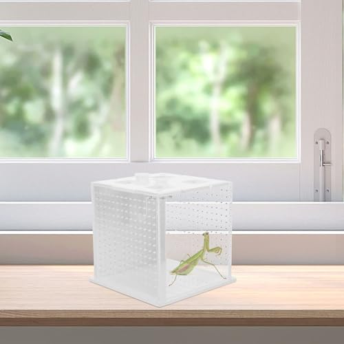 Reptile Feeding Box and Spider Terrarium Plastic Breeding Habitat Enclosure for Jumping Spiders and Frogs Ventilation Suitable for Pet Insects and Small Reptiles