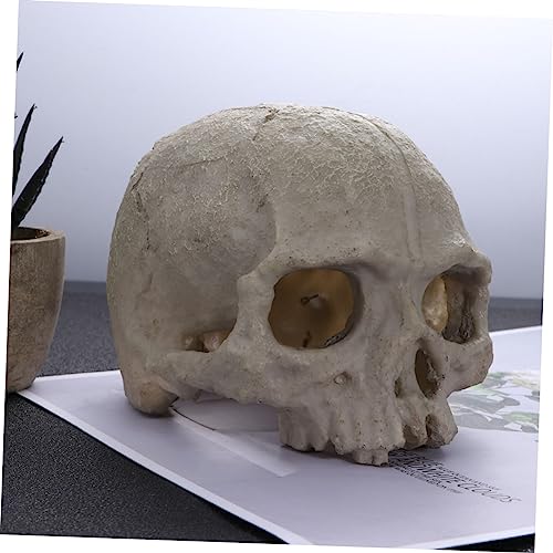 DOITOOL 2pcs Fish Tank Skull Decorations Resin Skull Ornaments Aquarium Landscaping Accessories Skull Props for Reptiles Habitat