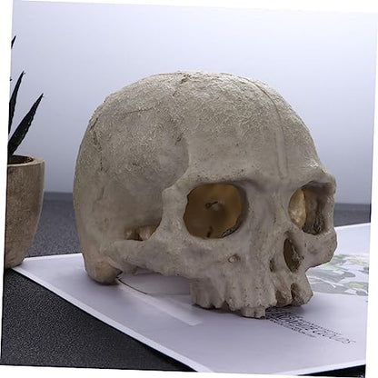 DOITOOL 2pcs Fish Tank Skull Decorations Resin Skull Ornaments Aquarium Landscaping Accessories Skull Props for Reptiles Habitat