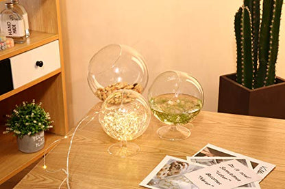 WGV Planter Terrarium with Stand, Ball Diameter 4" Height 5", Clear Glass Floral Container Vase, DIY Succulents Outdoor Garden Home Office Decor Slant Cut Orb, 1 Piece - size: 4"D