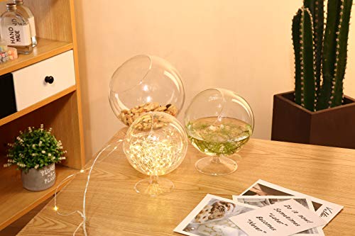 WGV Planter Terrarium with Stand, Ball Diameter 5" Height 6", Clear Glass Floral Container Vase, DIY Succulents Outdoor Garden Home Office Decor Slant Cut Orb, 1 Piece - size: 5"D