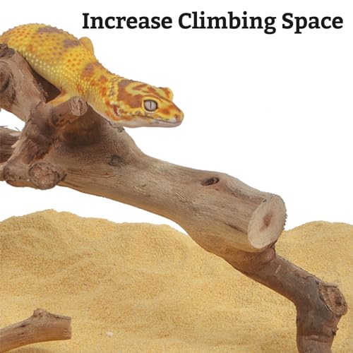 VCEPJH Snake Climbing Branch, 2Pcs Reptile Wood Natural Cork Log and Reptile Climbing Bridge 39 in Long Bearded Dragon Wooden Ladder for Lizard Ball Pythons Tree Frog Snake Leopard Gecko