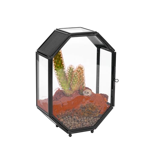 NCYP Mini Vented Glass Terrarium with Vent and Door for Jumping Spiders - Octagon Small Spider Enclosure, Black, Tabletop Decor, 5 x 2.3 x 7 Inches (Terrarium Only) - size: 5 x 2.3 x 7 inches