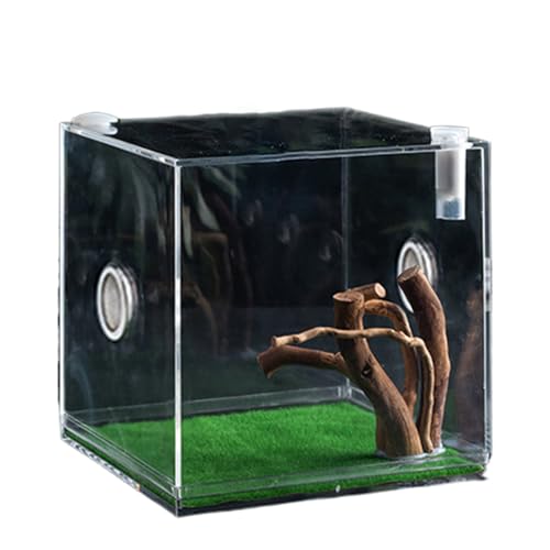 Reptile Growth Terrarium - Acrylic Jumping Spider Clear Container, Clearer View Small Pet Enclosure, Practical Convenient Spacious Habitat, Durable Housing Design Versatile Use | for Snails Lizards Be - color: Aqua