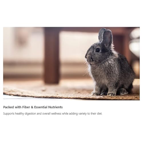 Rosewood Naturals: Summer Harvest - 4 Pack, 5.2oz Bags - Small Animal Treat, Dried Flower-Fruit-Vegetable-Herb Mix, All Natural, Pet-Rabbit-Guinea Pig